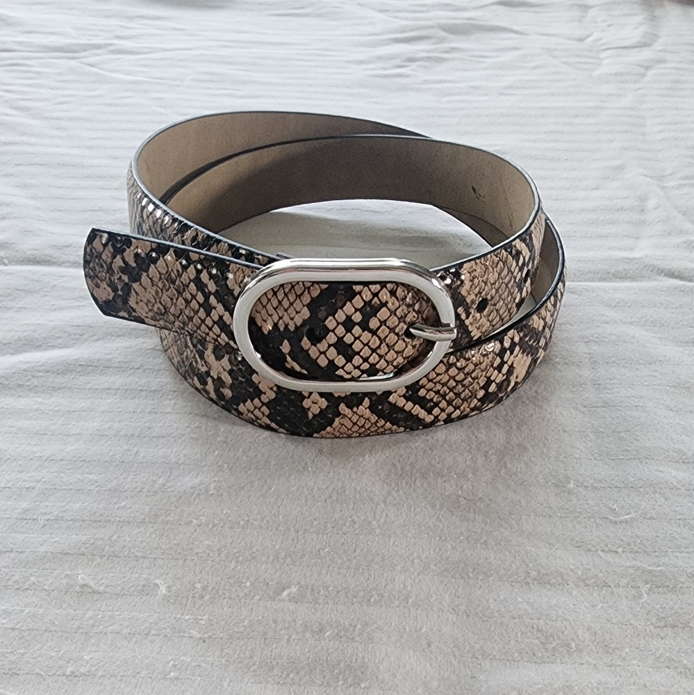 Snakeskin Belt with Silver Buckle